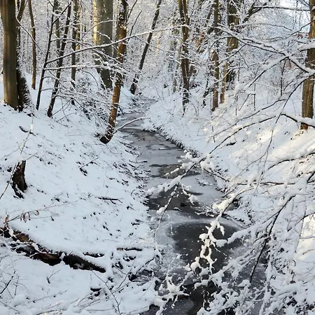Stephansstift Tagungs- Und Gastehaus Pensión Hanóver