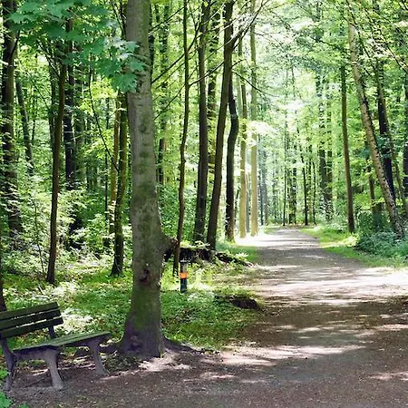 Gasthuis Stephansstift Tagungs- Und Gastehaus